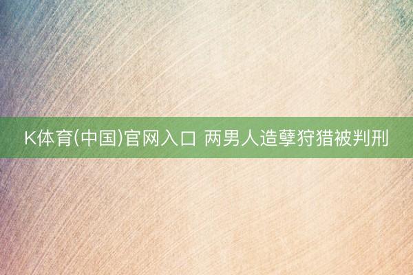 K体育(中国)官网入口 两男人造孽狩猎被判刑
