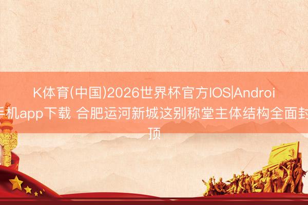 K体育(中国)2026世界杯官方IOS|Android手机app下载 合肥运河新城这别称堂主体结构全面封顶