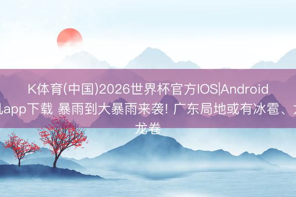 K体育(中国)2026世界杯官方IOS|Android手机app下载 暴雨到大暴雨来袭! 广东局地或有冰雹、龙卷