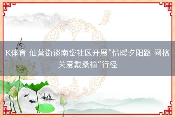 K体育 仙营街谈南岱社区开展“情暖夕阳路 网格关爱戴桑榆”行径