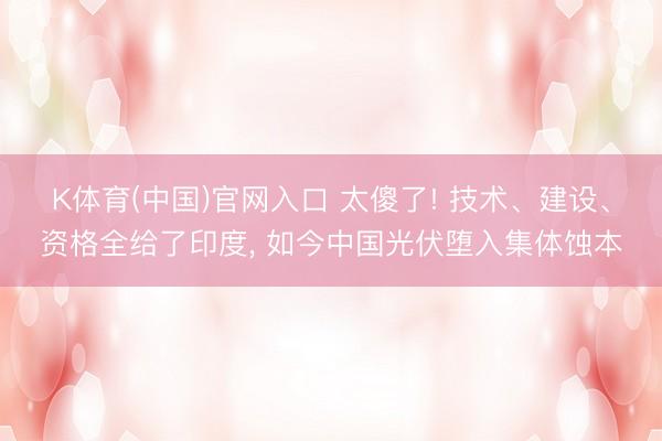 K体育(中国)官网入口 太傻了! 技术、建设、资格全给了印度， 如今中国光伏堕入集体蚀本