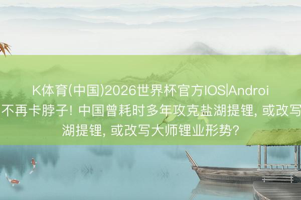 K体育(中国)2026世界杯官方IOS|Android手机app下载 不再卡脖子! 中国曾耗时多年攻克盐湖提锂， 或改写大师锂业形势?
