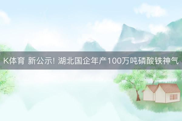 K体育 新公示! 湖北国企年产100万吨磷酸铁神气