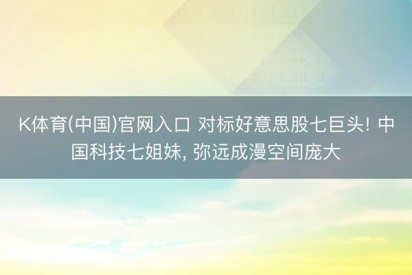 K体育(中国)官网入口 对标好意思股七巨头! 中国科技七姐妹， 弥远成漫空间庞大