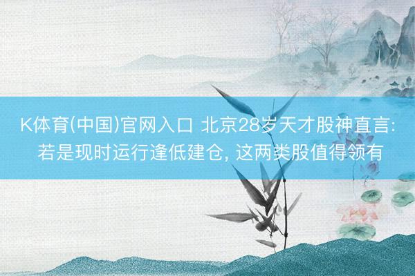 K体育(中国)官网入口 北京28岁天才股神直言: 若是现时运行逢低建仓， 这两类股值得领有