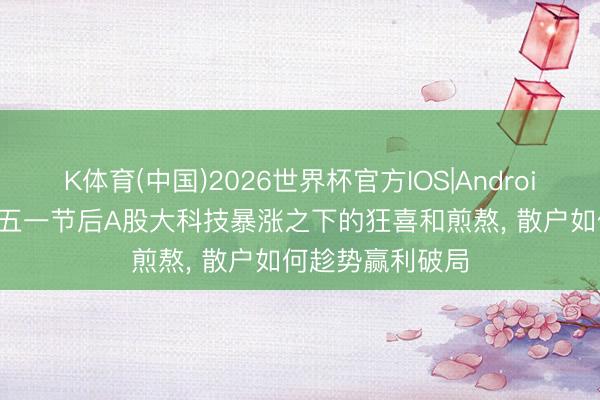 K体育(中国)2026世界杯官方IOS|Android手机app下载 五一节后A股大科技暴涨之下的狂喜和煎熬， 散户如何趁势赢利破局