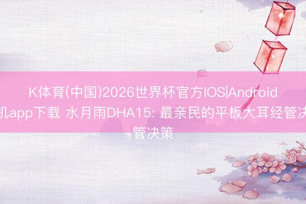 K体育(中国)2026世界杯官方IOS|Android手机app下载 水月雨DHA15: 最亲民的平板大耳经管决策
