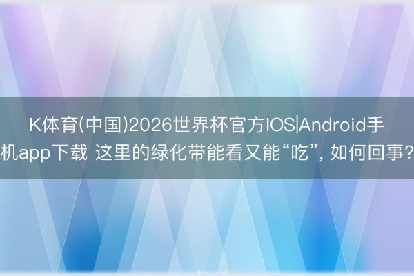 K体育(中国)2026世界杯官方IOS|Android手机app下载 这里的绿化带能看又能“吃”， 如何回事?