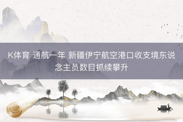 K体育 通航一年 新疆伊宁航空港口收支境东说念主员数目抓续攀升