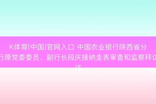 K体育(中国)官网入口 中国农业银行陕西省分行原党委委员、副行长段庆接纳圭表审查和监察拜访