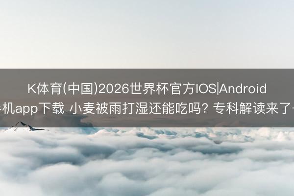 K体育(中国)2026世界杯官方IOS|Android手机app下载 小麦被雨打湿还能吃吗? 专科解读来了→