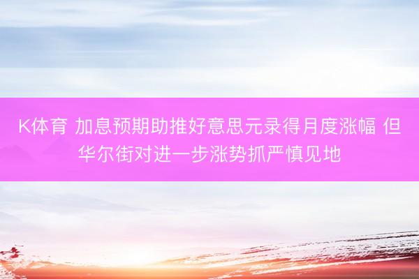 K体育 加息预期助推好意思元录得月度涨幅 但华尔街对进一步涨势抓严慎见地
