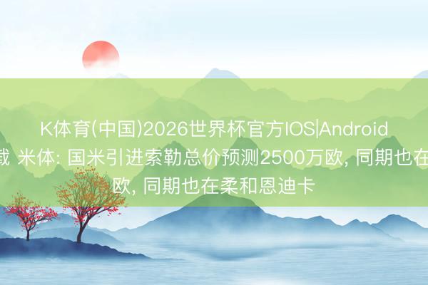 K体育(中国)2026世界杯官方IOS|Android手机app下载 米体: 国米引进索勒总价预测2500万欧， 同期也在柔和恩迪卡