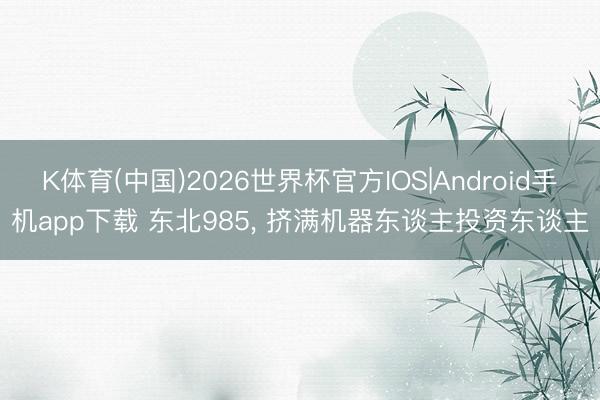 K体育(中国)2026世界杯官方IOS|Android手机app下载 东北985, 挤满机器东谈主投资东谈主