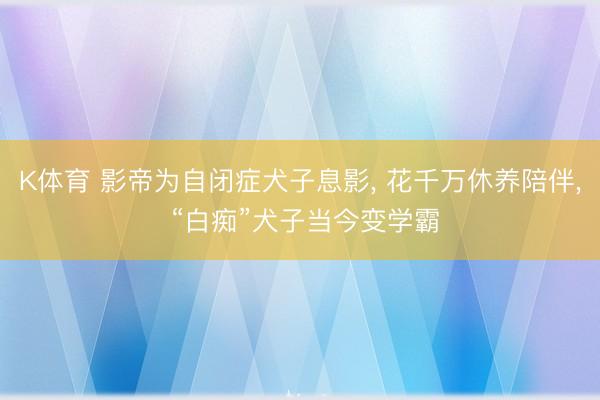 K体育 影帝为自闭症犬子息影， 花千万休养陪伴， “白痴”犬子当今变学霸