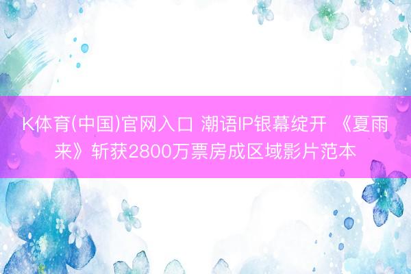 K体育(中国)官网入口 潮语IP银幕绽开 《夏雨来》斩获2800万票房成区域影片范本