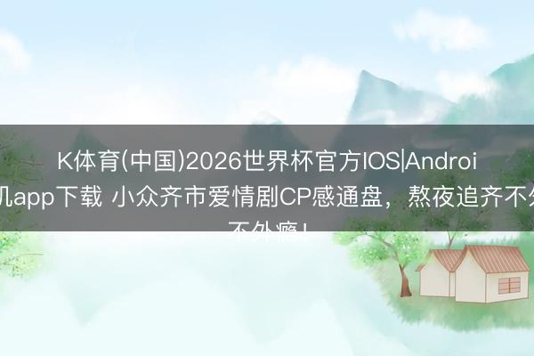 K体育(中国)2026世界杯官方IOS|Android手机app下载 小众齐市爱情剧CP感通盘，熬夜追齐不外瘾！