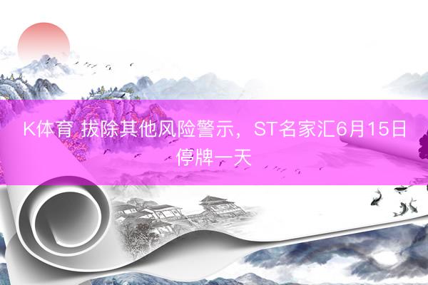 K体育 拔除其他风险警示，ST名家汇6月15日停牌一天