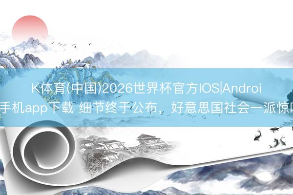 K体育(中国)2026世界杯官方IOS|Android手机app下载 细节终于公布,好意思国社会一派惊呼